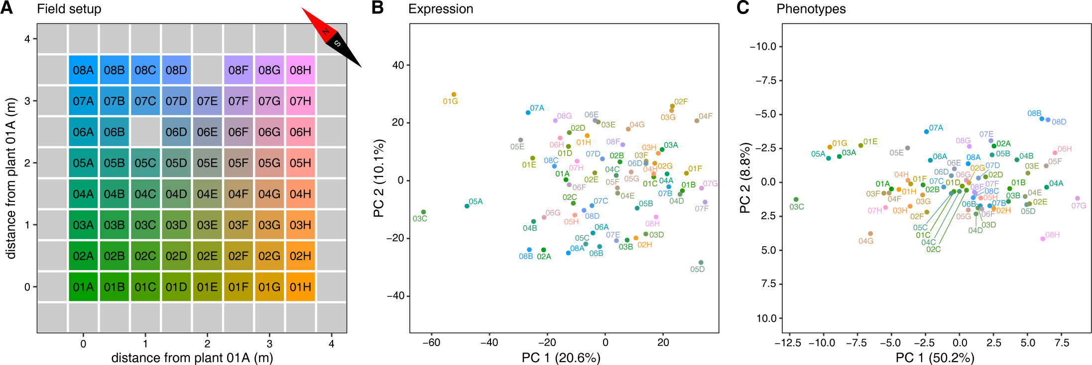 Field trial layout and PCA plots for gene expression and phenotypes.